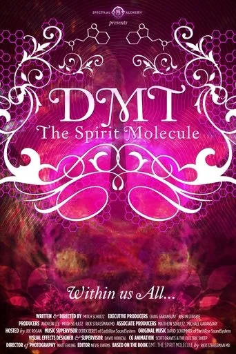 Póster de DMT: The Spirit Molecule