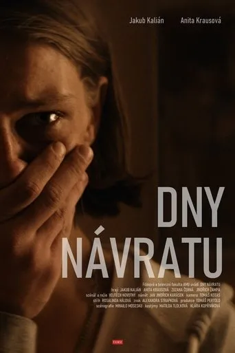 Póster de Dny návratu