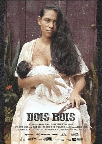 Póster de Dois Bois