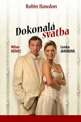 Póster de Dokonalá svatba