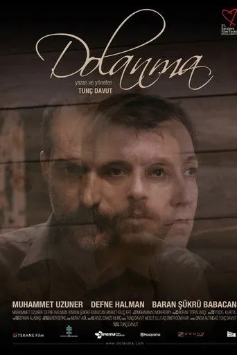 Póster de Dolanma