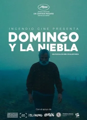 Póster de Domingo y la niebla