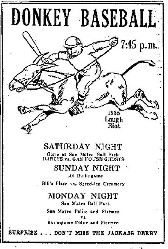 Póster de Donkey Baseball