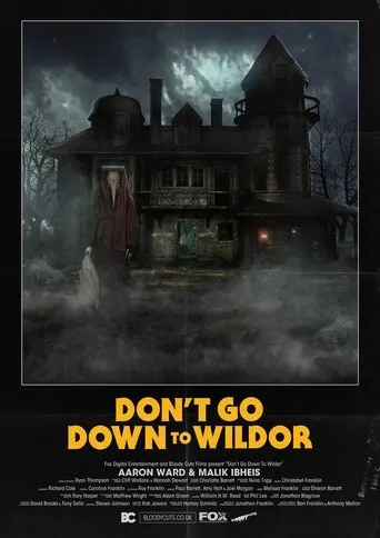 Póster de Don’t Go Down to Wildor