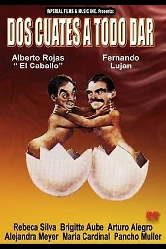 Póster de Dos cuates a todo dar