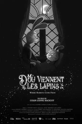 Póster de D’où viennent les lapins
