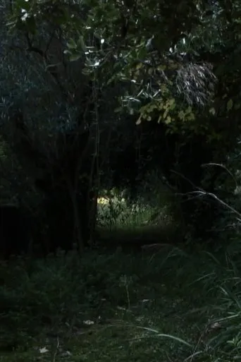 Póster de Dove Non Siamo Stati