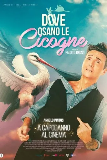 Póster de Dove osano le cicogne