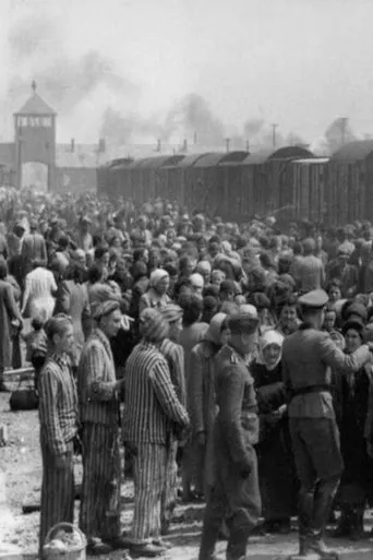 Póster de Dr Münch - läkare i Auschwitz