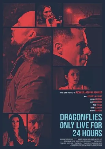 Póster de Dragonfiles Only Live for 24 Hours