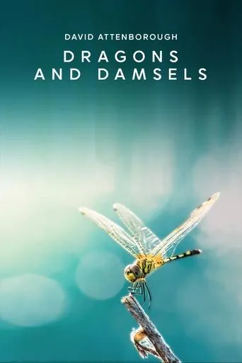Póster de Dragons and Damsels