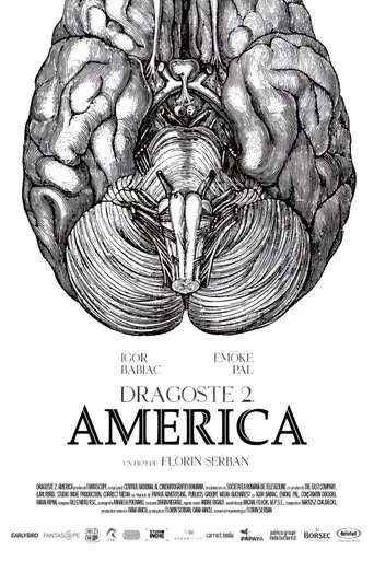 Póster de Dragoste 2. America