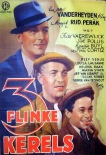 Póster de Drie flinke kerels