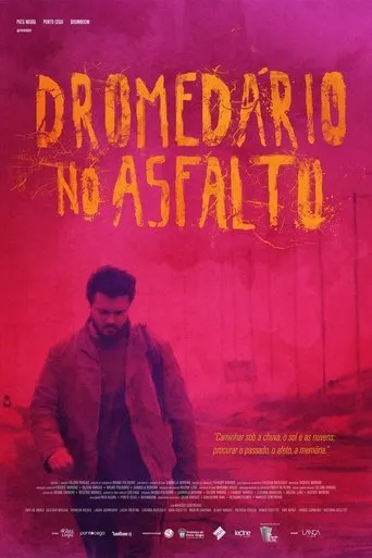Póster de Dromedário no Asfalto