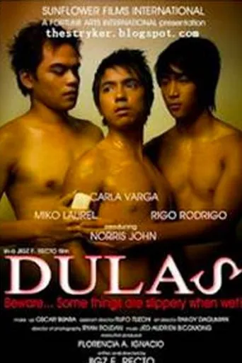 Póster de Dulas