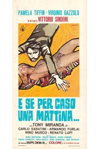 Póster de E se per caso una mattina...