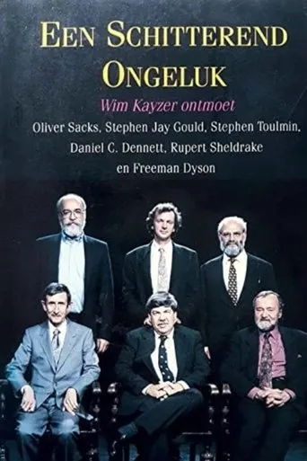 Póster de Een schitterend ongeluk