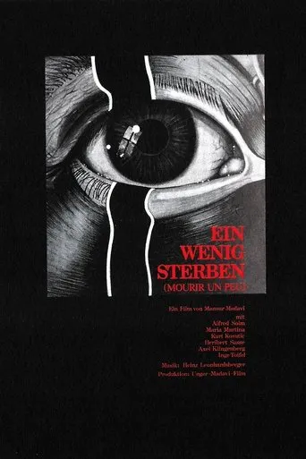 Póster de Ein wenig sterben