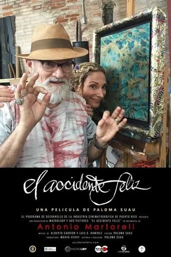 Póster de El accidente feliz