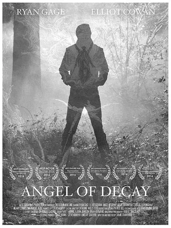Póster de El ángel caído
