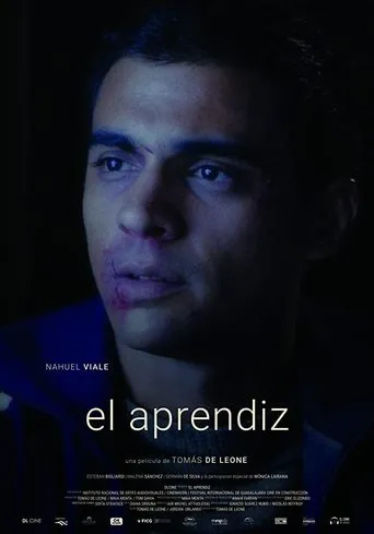 Póster de El aprendiz