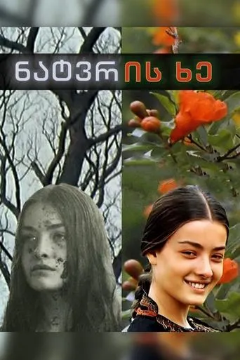 Póster de El árbol de los sueños