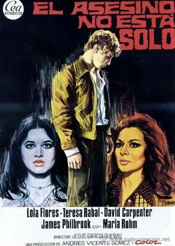 Póster de El asesino no está solo