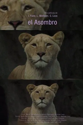 Póster de El asombro
