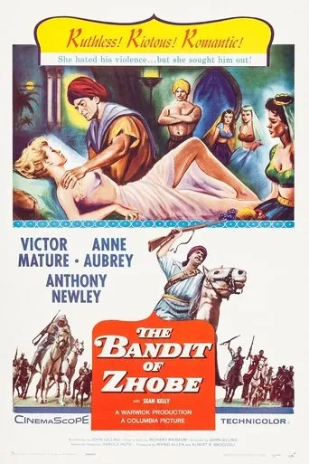 Póster de El bandido de Zhobe