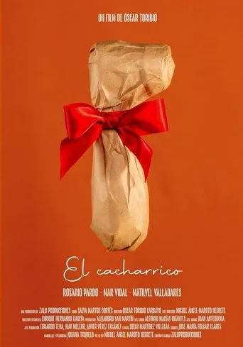 Póster de El cacharrico