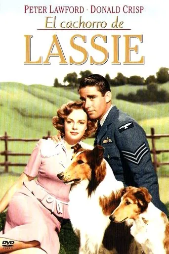 Póster de El cachorro de Lassie (1945) con Leon Tyler como Arne