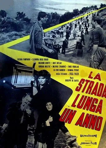Póster de El camino de un año