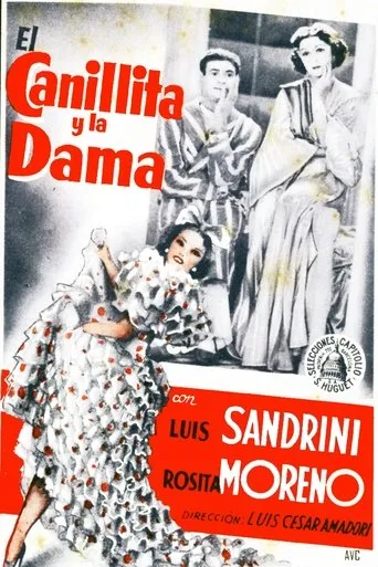Póster de El canillita y la dama