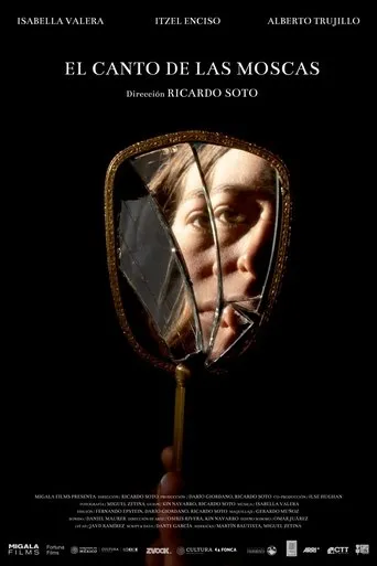 Póster de El canto de las moscas