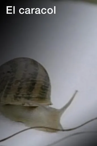 Póster de El caracol