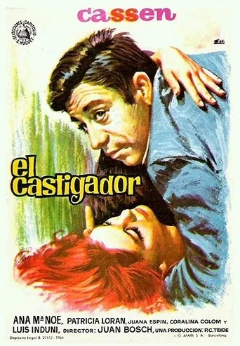 Póster de El castigador