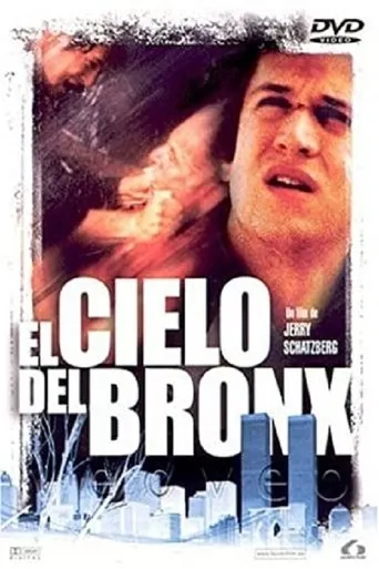 Póster de El cielo del Bronx