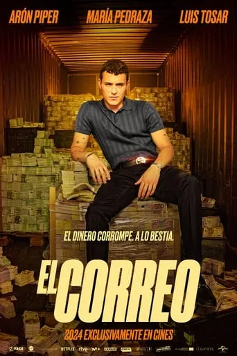 Póster de El correo