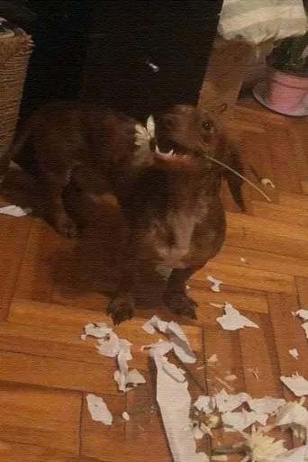 Póster de El Desayuno