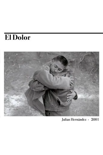 Póster de El dolor