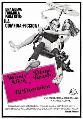 Póster de El dormilón