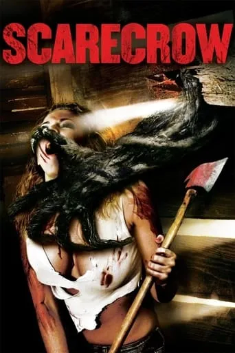Póster de El espantapájaros