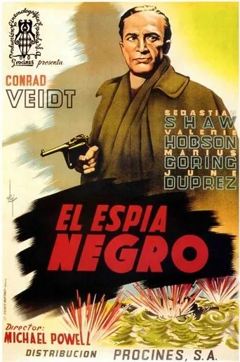 Póster de El espía negro
