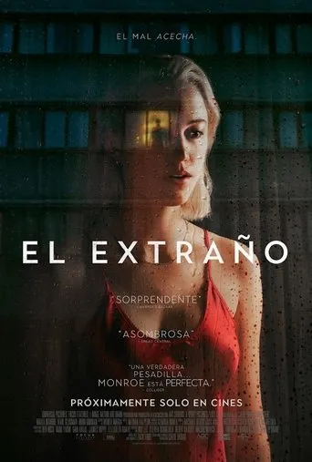 Póster de El extraño