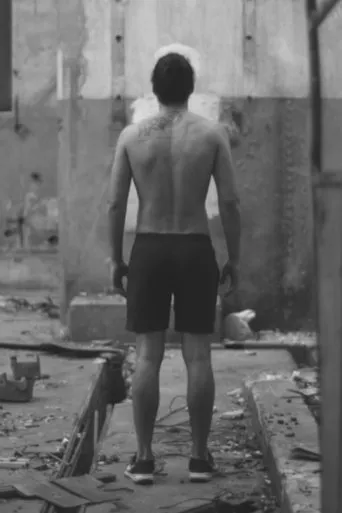 Póster de El fulgor