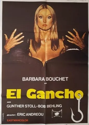 Póster de El gancho