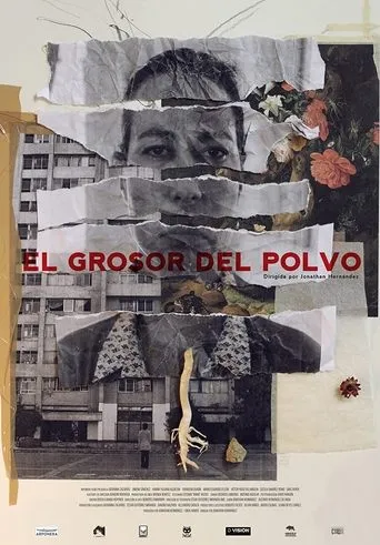 Póster de El Grosor del Polvo