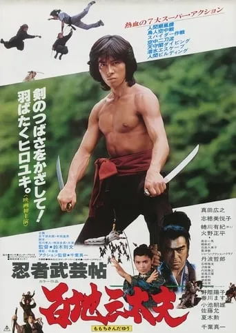 Póster de El guerrero ninja