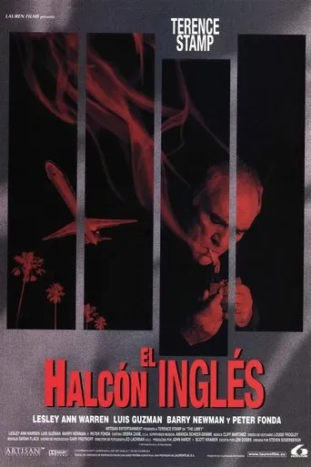 Póster de El halcón inglés