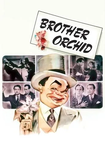 Póster de El hermano orquídea